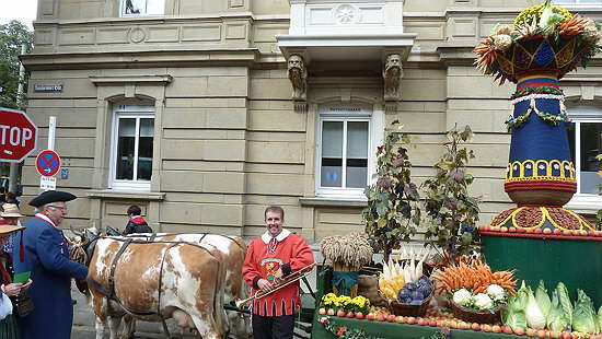 Canstatt 2015 (58)