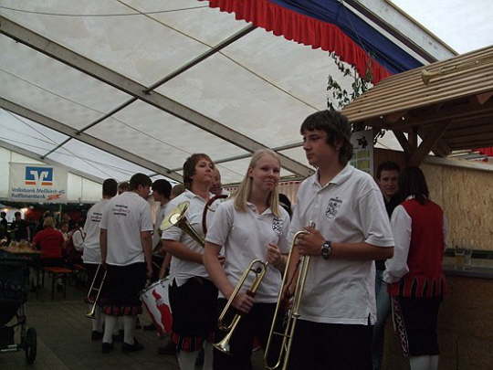Fanfarenzug Obermarchal Boll 11 (21)
