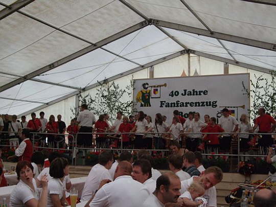 Fanfarenzug Obermarchal Boll 11 (23)