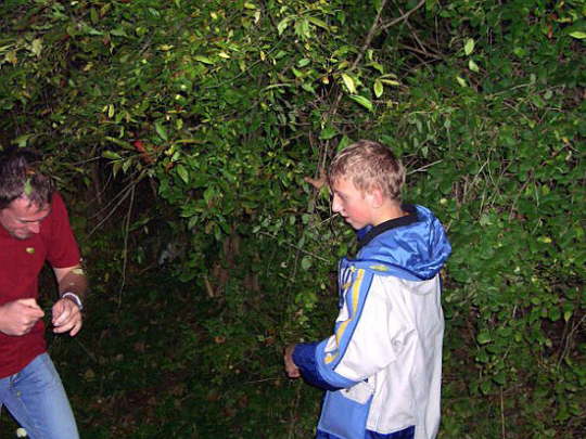 Fisch2007 (13)