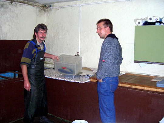 Fisch2007 (18)