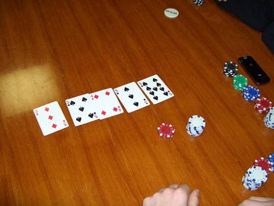 GeisKamb2008 (11)