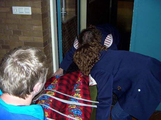GeisKamb2008 (27)