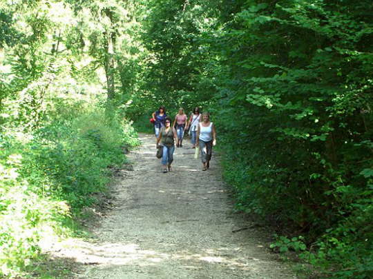 Grillf2008 (14)