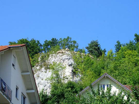 Grillf2008 (5)