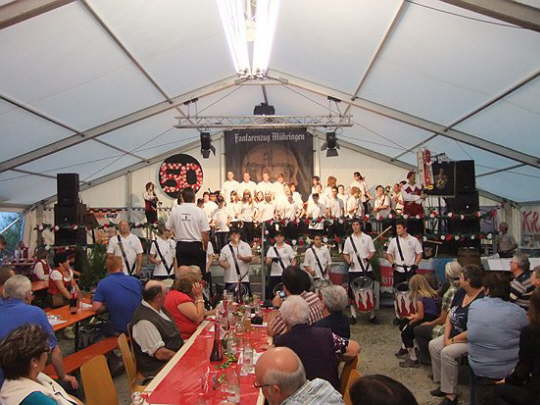 Mhringen 2012 (11)