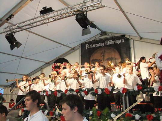 Mhringen 2012 (16)