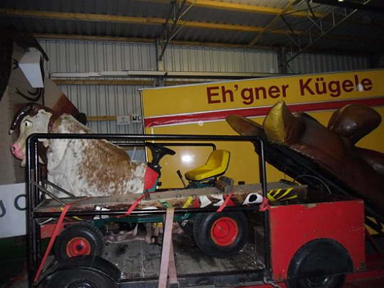 Narrenstadel2011 (1)