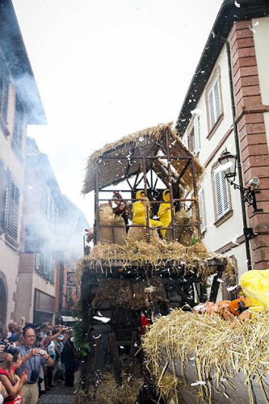 Rib-A-2014 (65)