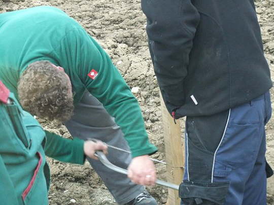 Werbetafel-Plakatieren2013 (76)